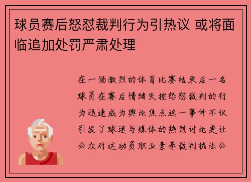 球员赛后怒怼裁判行为引热议 或将面临追加处罚严肃处理
