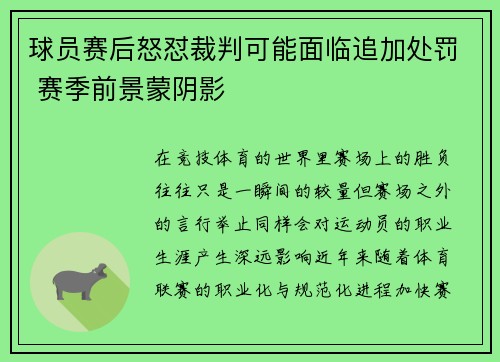 球员赛后怒怼裁判可能面临追加处罚 赛季前景蒙阴影